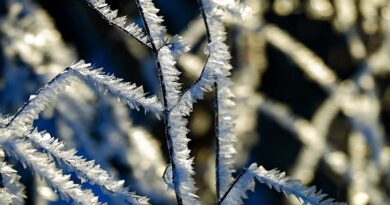 -27 fokos hideg: A meteorológusok is alig hiszik el, most kaptuk az előrejelzést