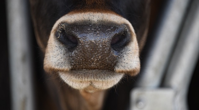 Szenzációs bejelentést tett az Agrárminisztérium: pénzeső hullik a magyar gazdákra